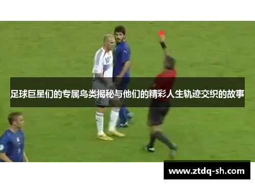 足球巨星们的专属鸟类揭秘与他们的精彩人生轨迹交织的故事